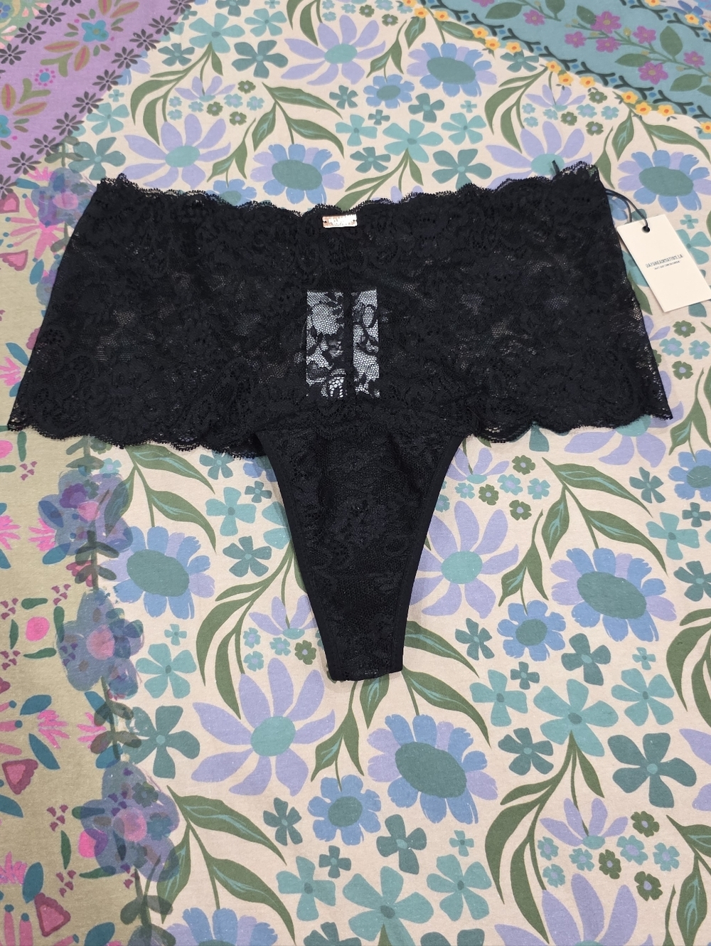 🖤 NEW! Daydream Nation Hi Rise Lace Shorty Panty 🖤